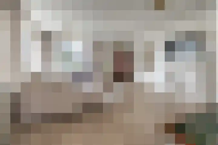 Schoutenstraat 126 Barneveld thumbnail 5