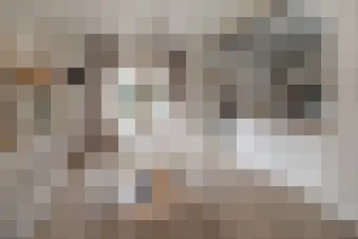 Schoutenstraat 126 Barneveld thumbnail 6
