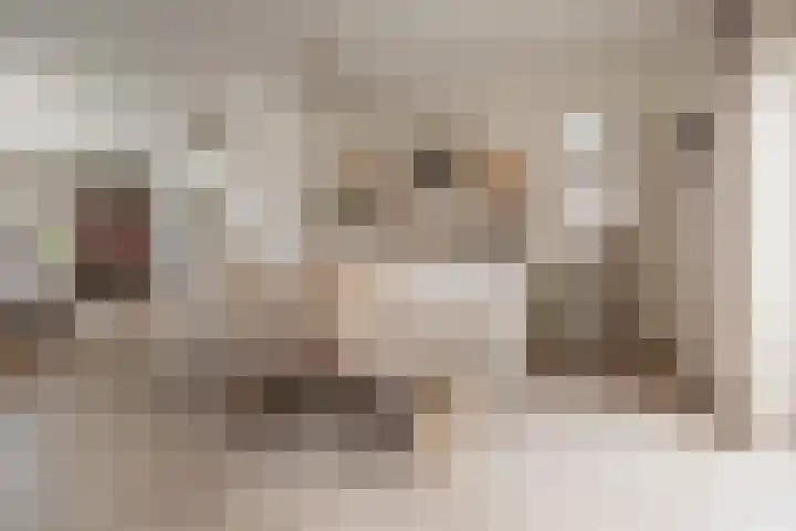 Schoutenstraat 126 Barneveld thumbnail 7