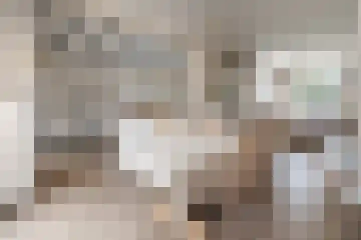 Schoutenstraat 126 Barneveld thumbnail 9