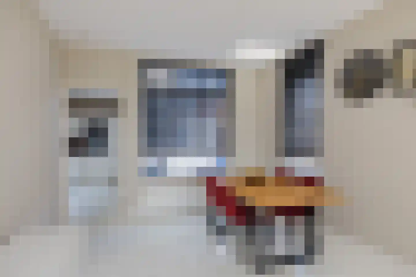 Schoutenstraat 14 IJmuiden thumbnail 10