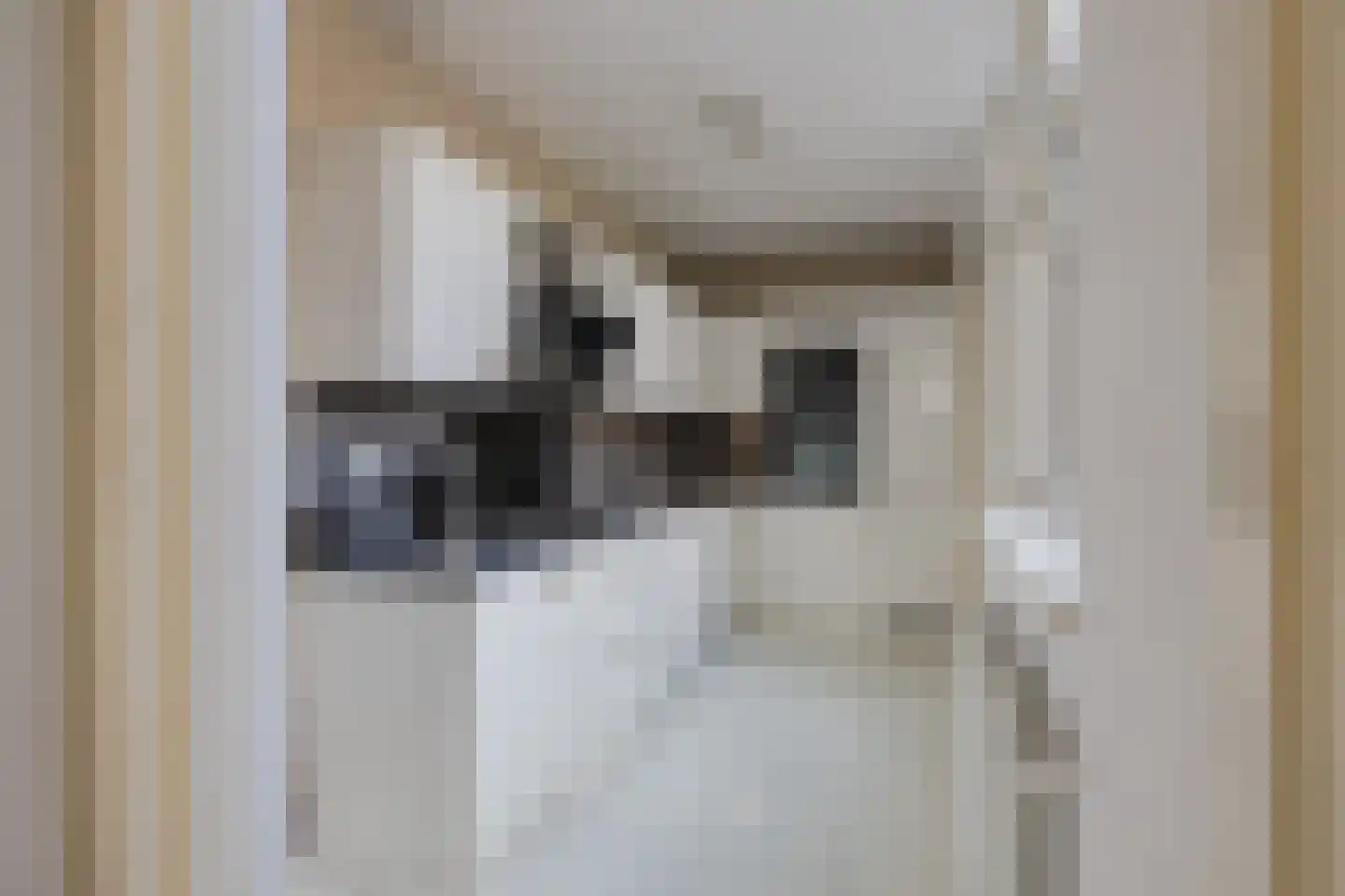 Schoutenstraat 14 IJmuiden thumbnail 11
