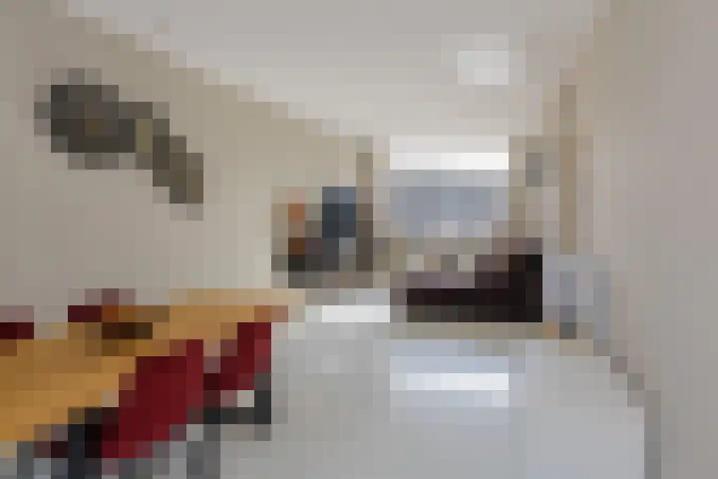 Schoutenstraat 14 IJmuiden thumbnail 6