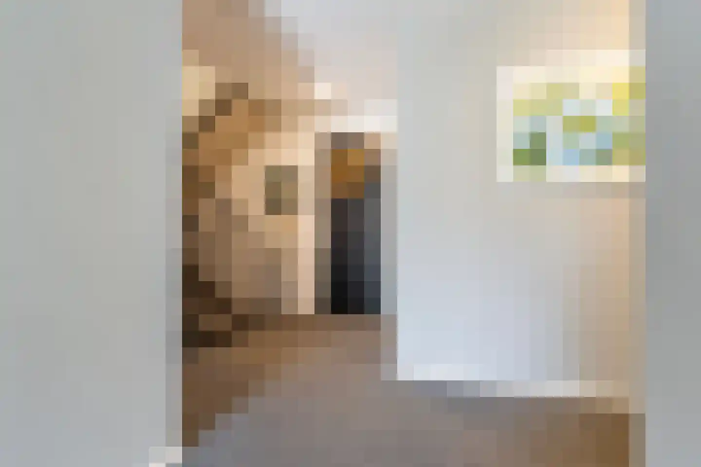 Schoutenstraat 149 Barneveld thumbnail 16
