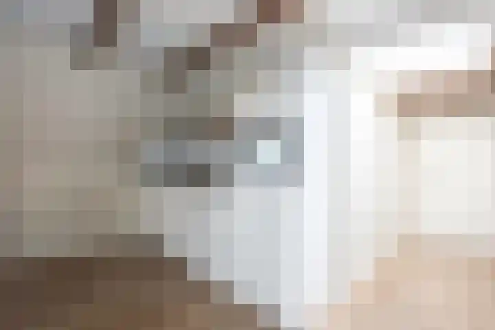 Schoutenstraat 2 F Alkmaar thumbnail 10