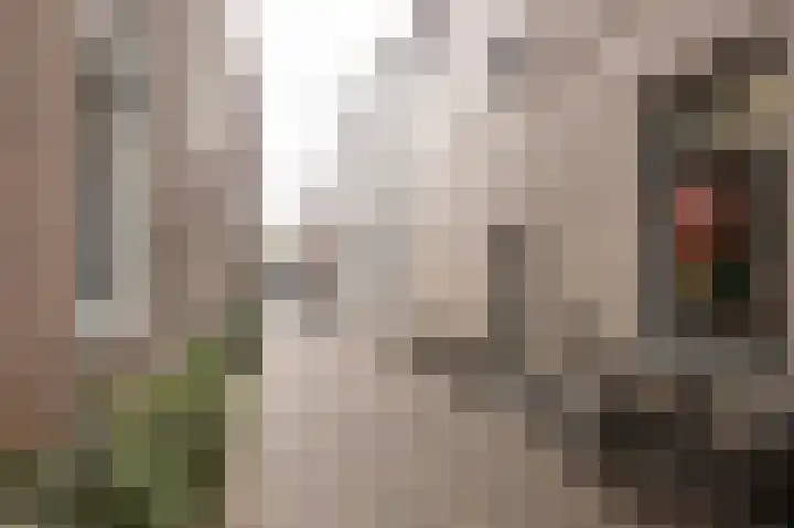 Schoutenstraat 2 F Alkmaar thumbnail 33