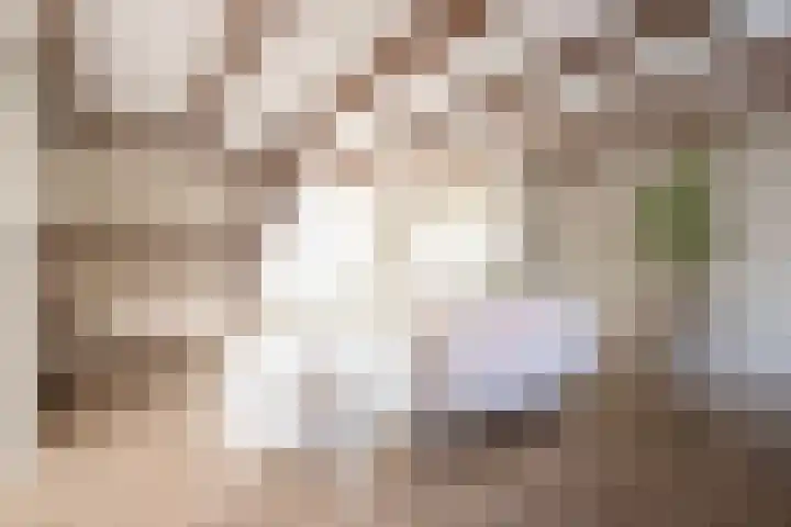Schoutenstraat 2 F Alkmaar thumbnail 4