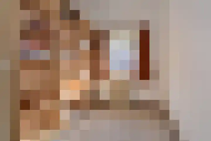 Schoutenstraat 24 Den Haag thumbnail 13