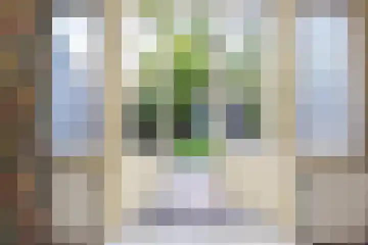 Schoutenstraat 24 Den Haag thumbnail 9