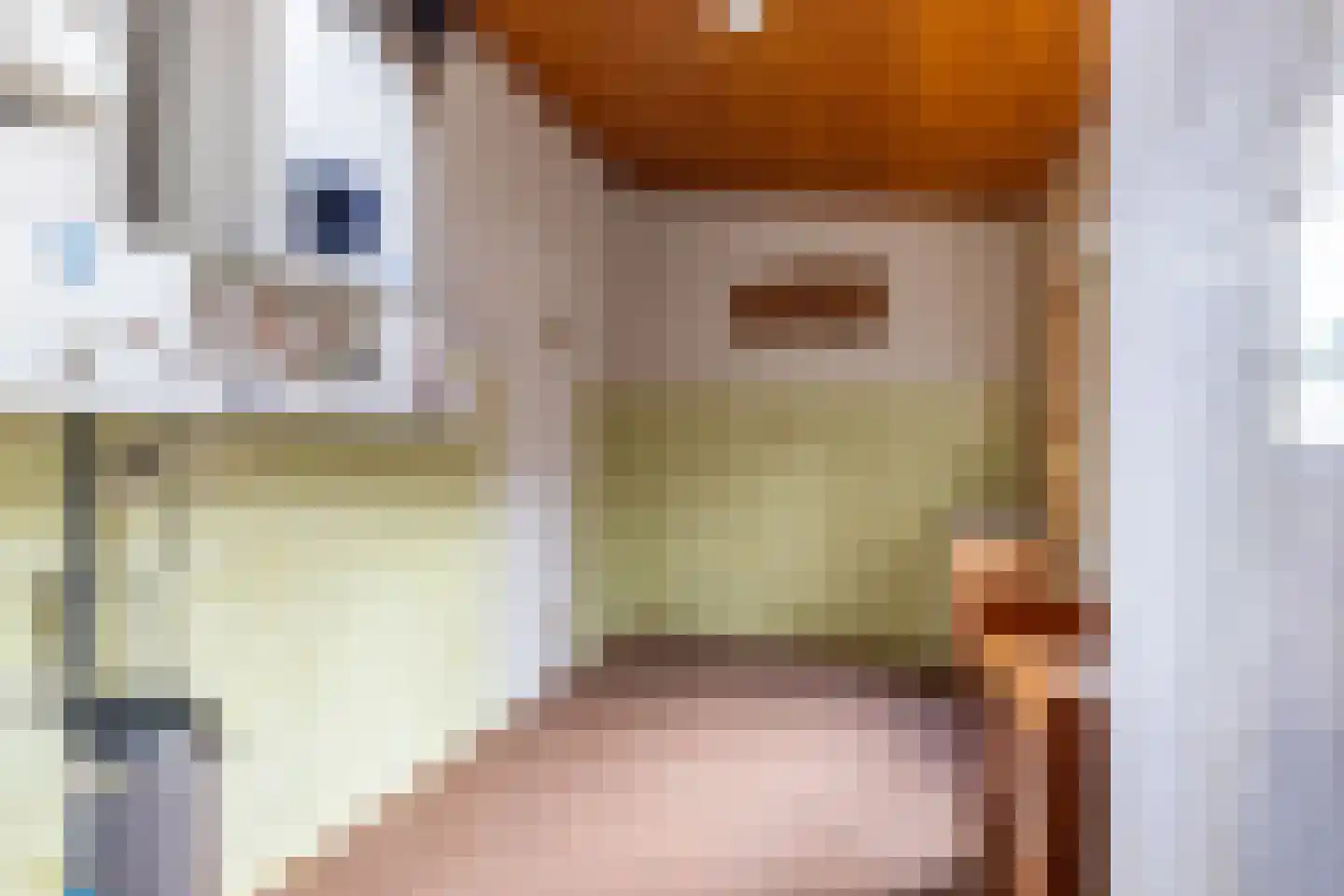 Schoutenstraat 25 Holten thumbnail 12