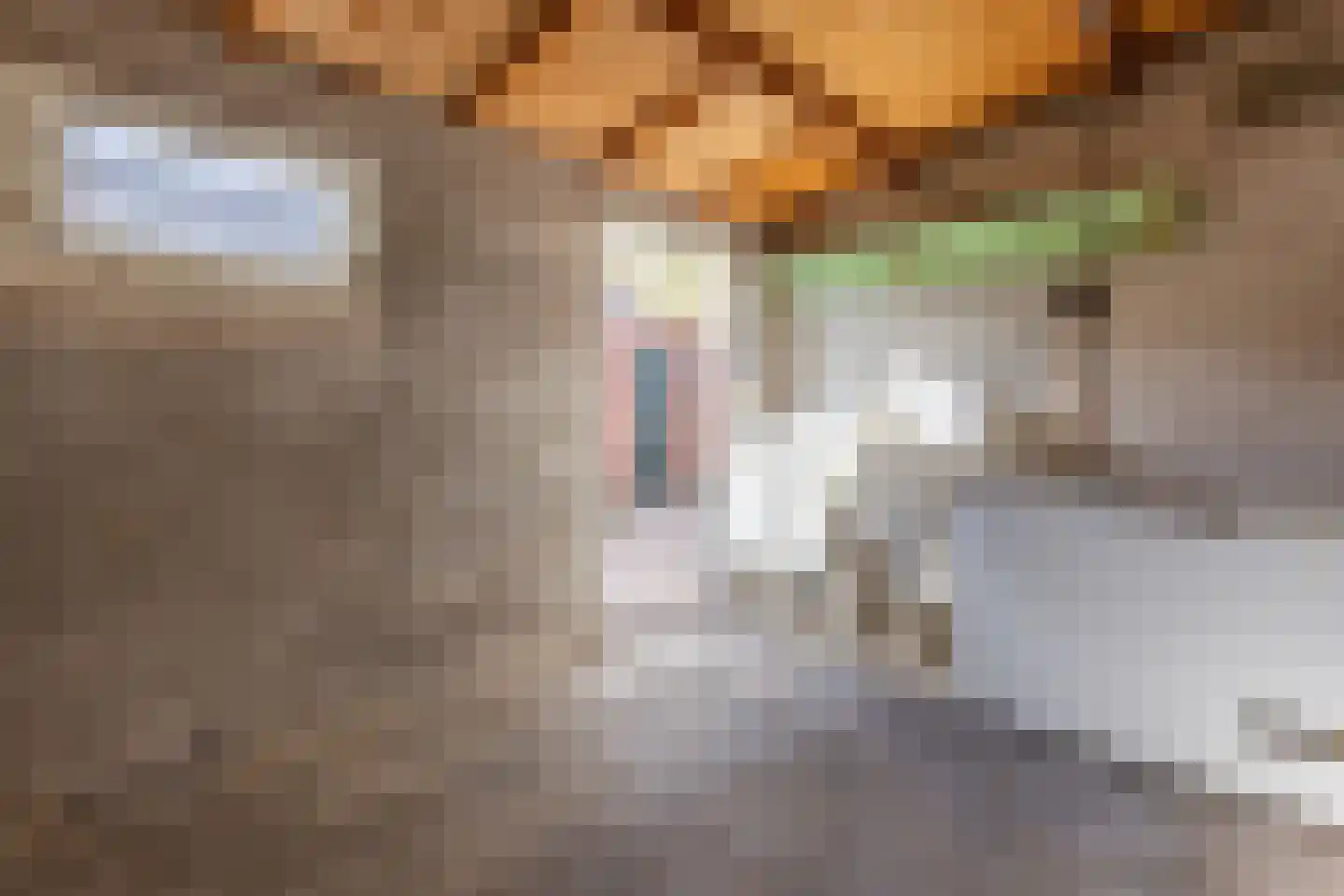 Schoutenstraat 25 Holten thumbnail 24