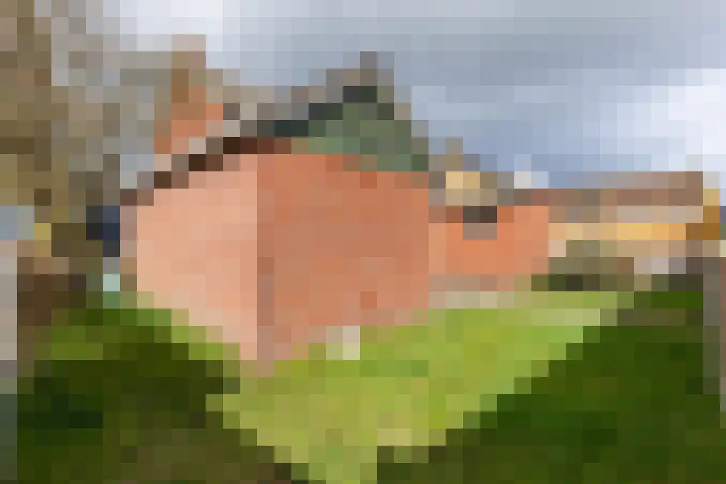 Schoutenstraat 25 Holten thumbnail 26