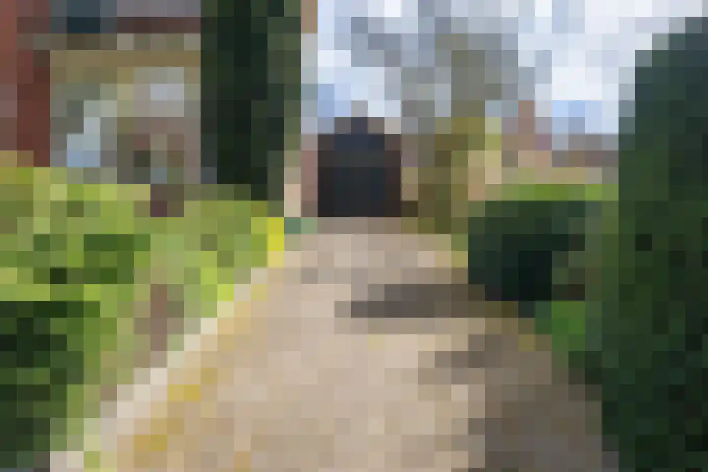 Schoutenstraat 25 Holten thumbnail 30