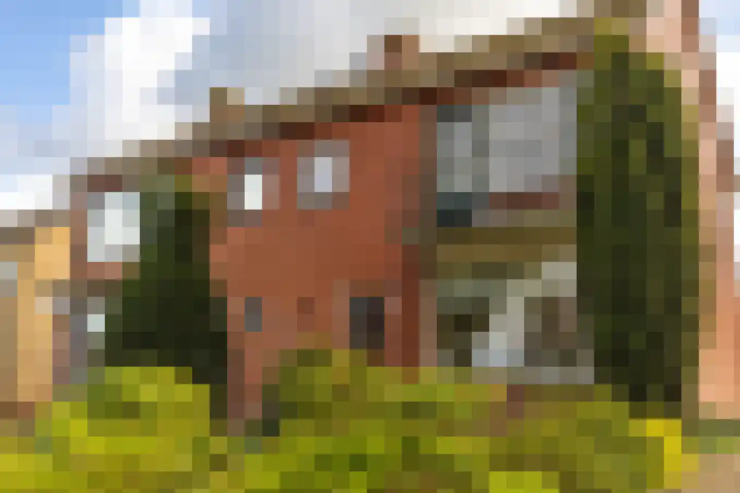 Schoutenstraat 25 Holten thumbnail 32