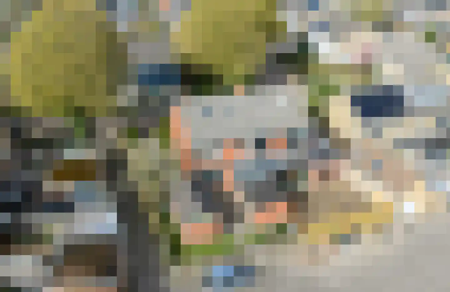 Schoutenstraat 25 Holten thumbnail 34