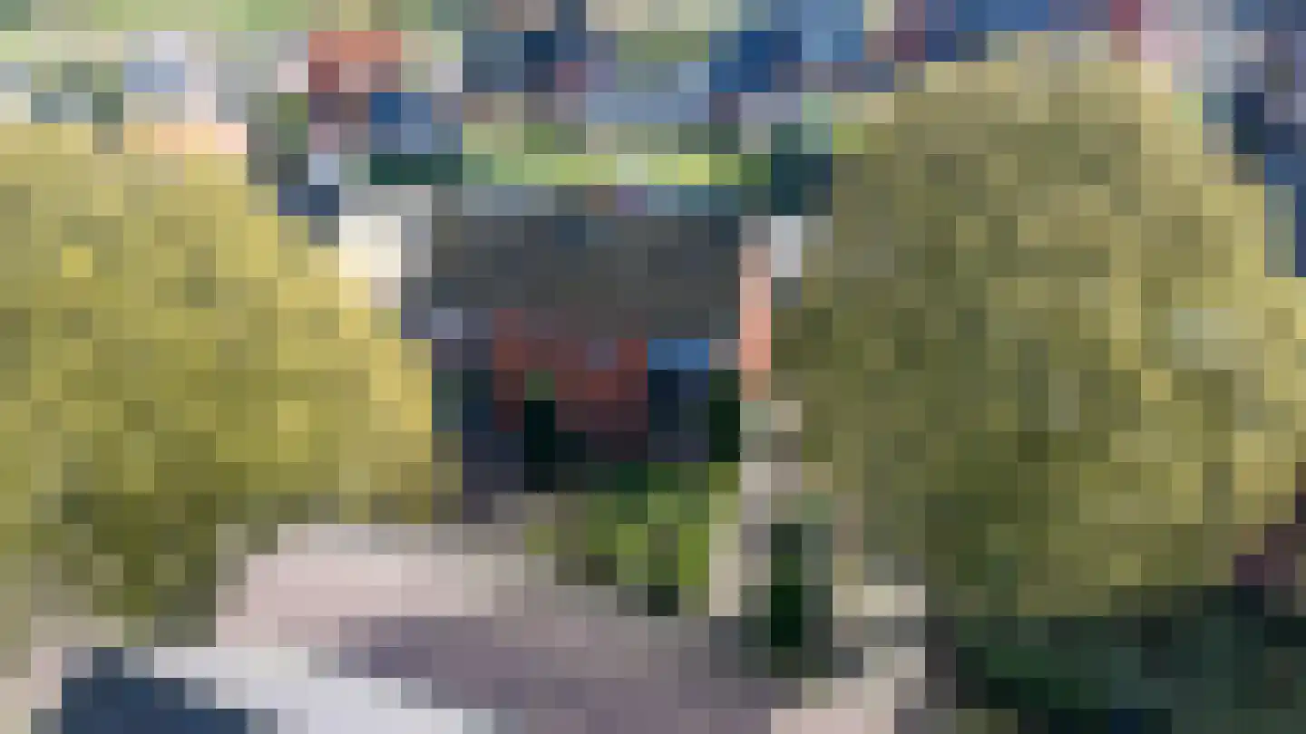 Schoutenstraat 25 Holten thumbnail 35