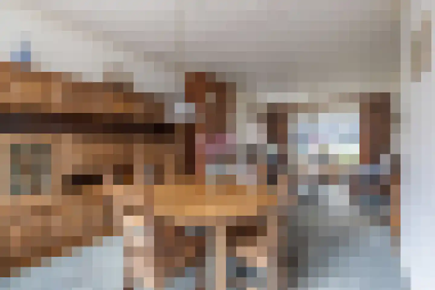 Schoutenstraat 25 Holten thumbnail 6