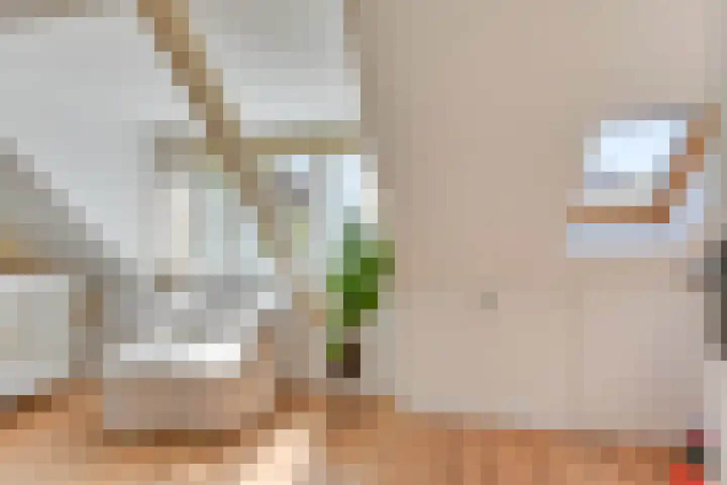 Schoutenstraat 3 Hoorn thumbnail 20