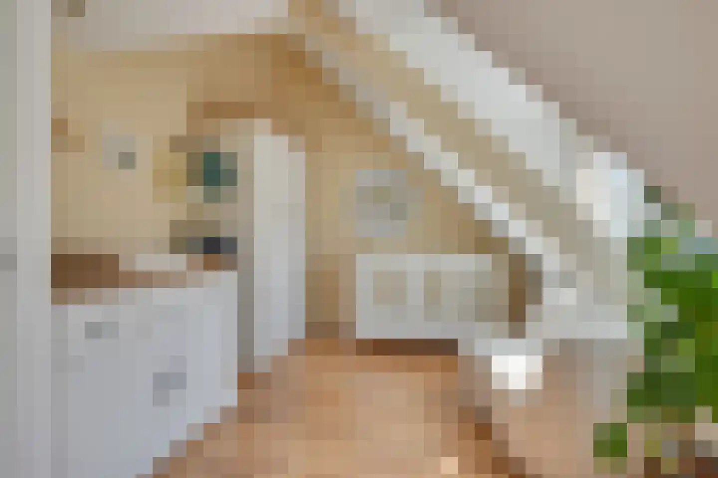 Schoutenstraat 3 Hoorn thumbnail 21