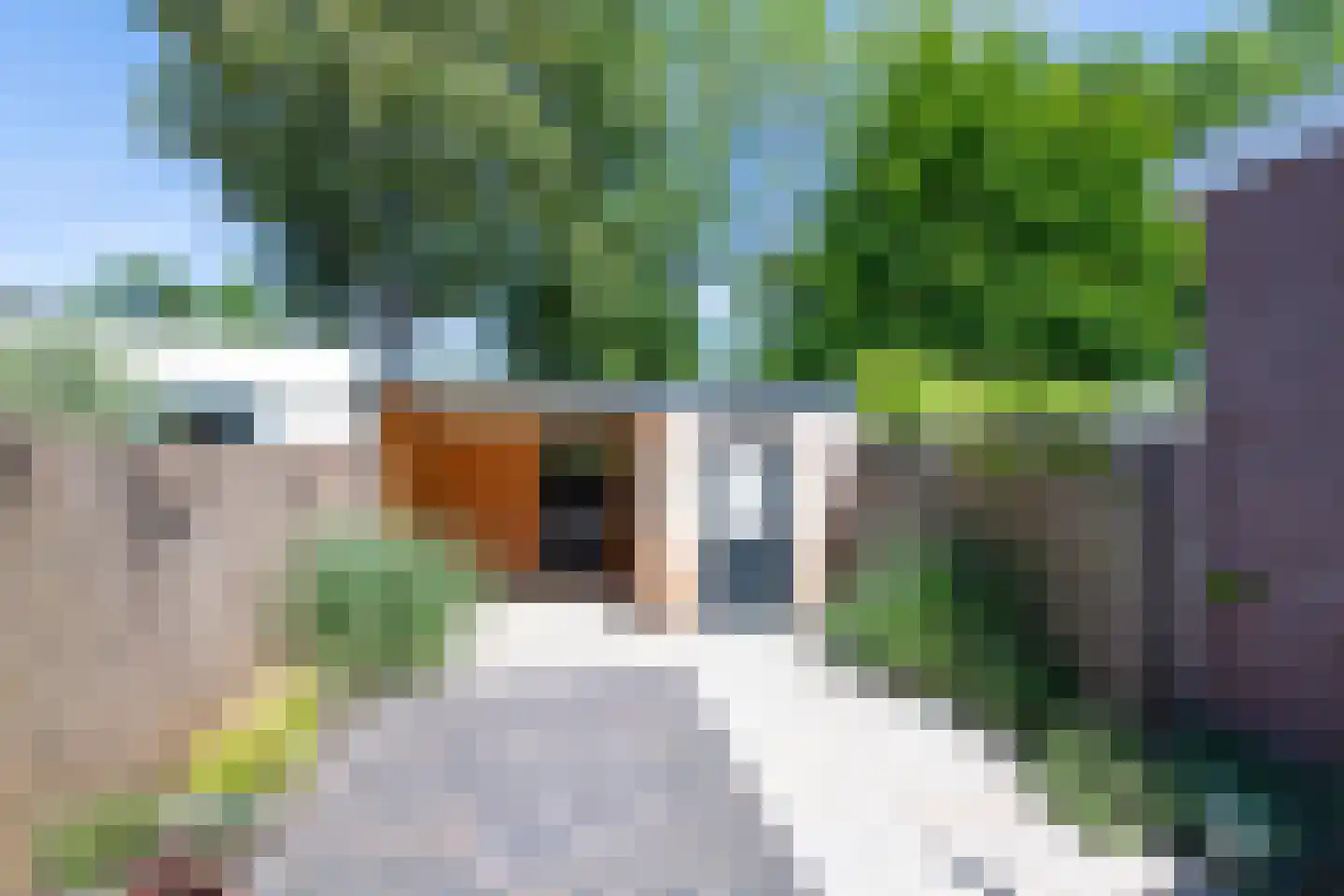 Schoutenstraat 3 Hoorn thumbnail 29