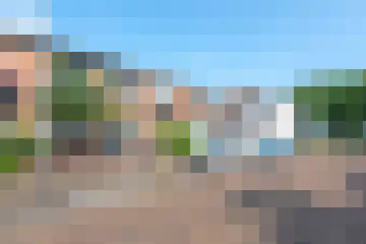 Schoutenstraat 3 IJmuiden thumbnail 33