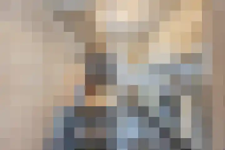 Schoutenstraat 3 Veghel thumbnail 10