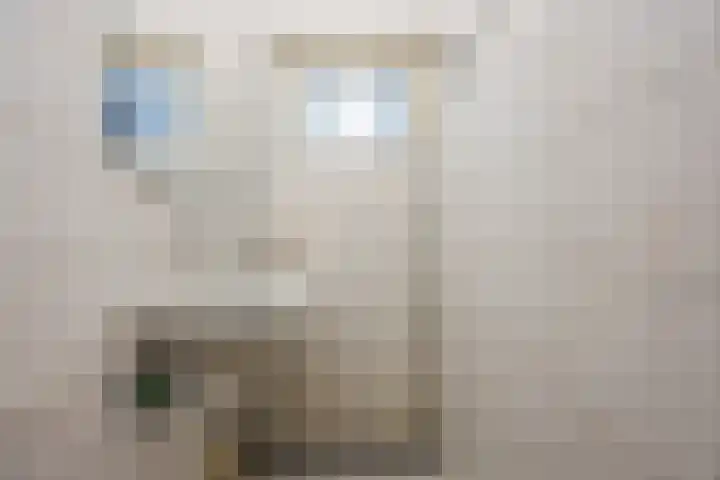 Schoutenstraat 3 Veghel thumbnail 17