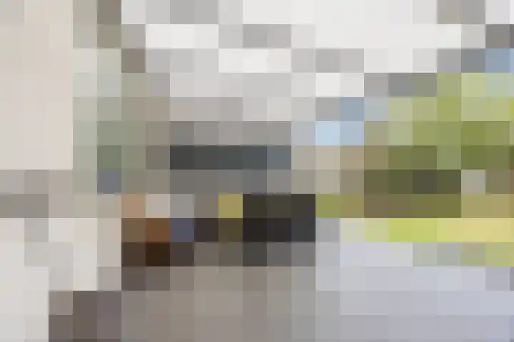 Schoutenstraat 3 Veghel thumbnail 19