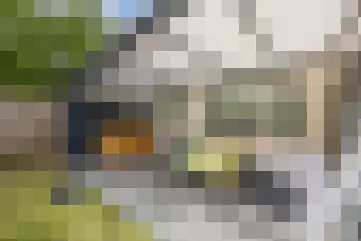 Schoutenstraat 3 Veghel thumbnail 20