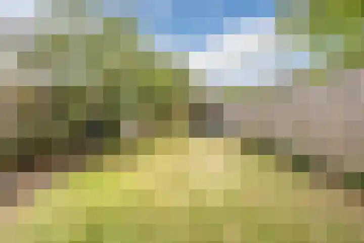 Schoutenstraat 3 Veghel thumbnail 22