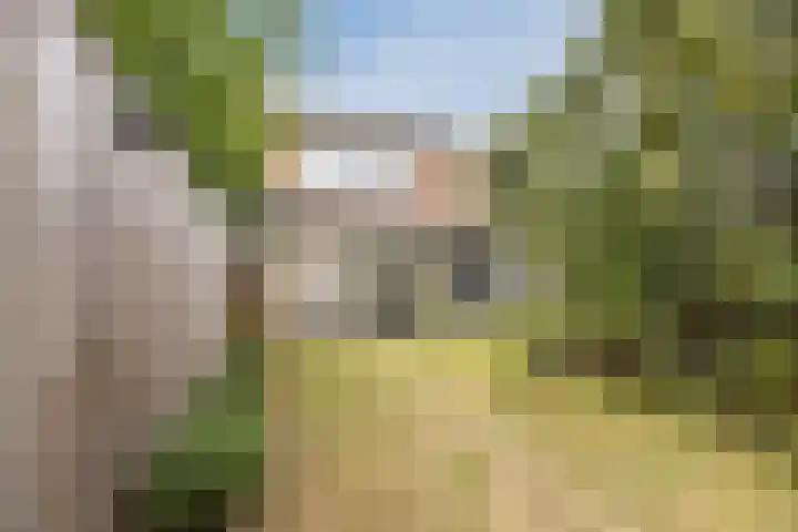 Schoutenstraat 3 Veghel thumbnail 23