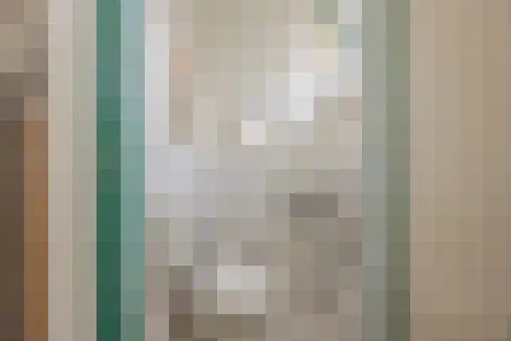 Schoutenstraat 3 Veghel thumbnail 6