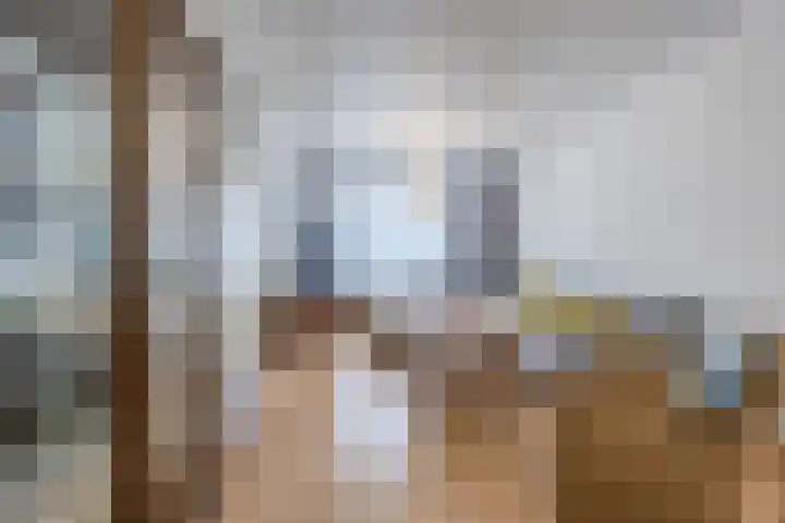 Schoutenstraat 3 Veghel thumbnail 8