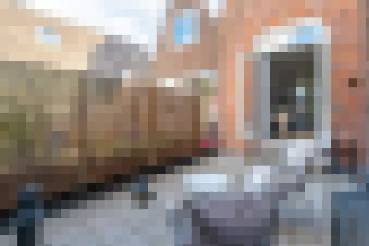 Schoutenstraat 34 A Alkmaar thumbnail 17