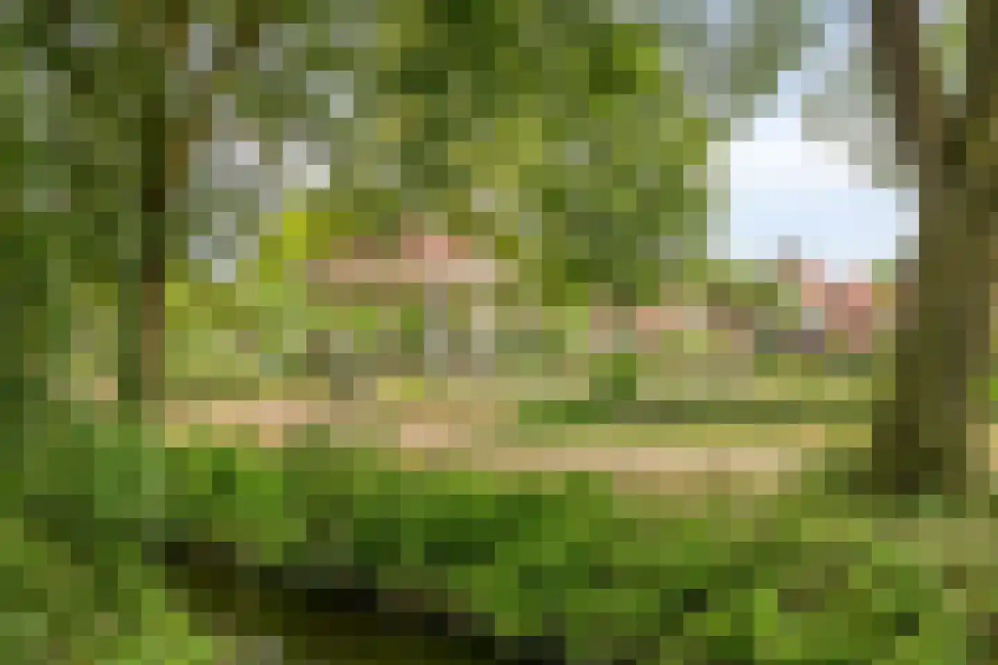 Schoutenstraat 34 A Barneveld thumbnail 30