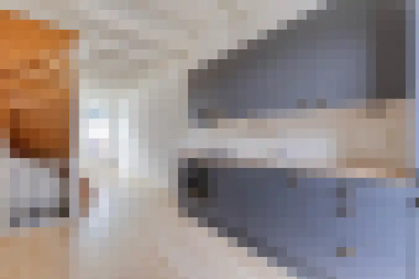 Schoutenstraat 34 Alkmaar thumbnail 10