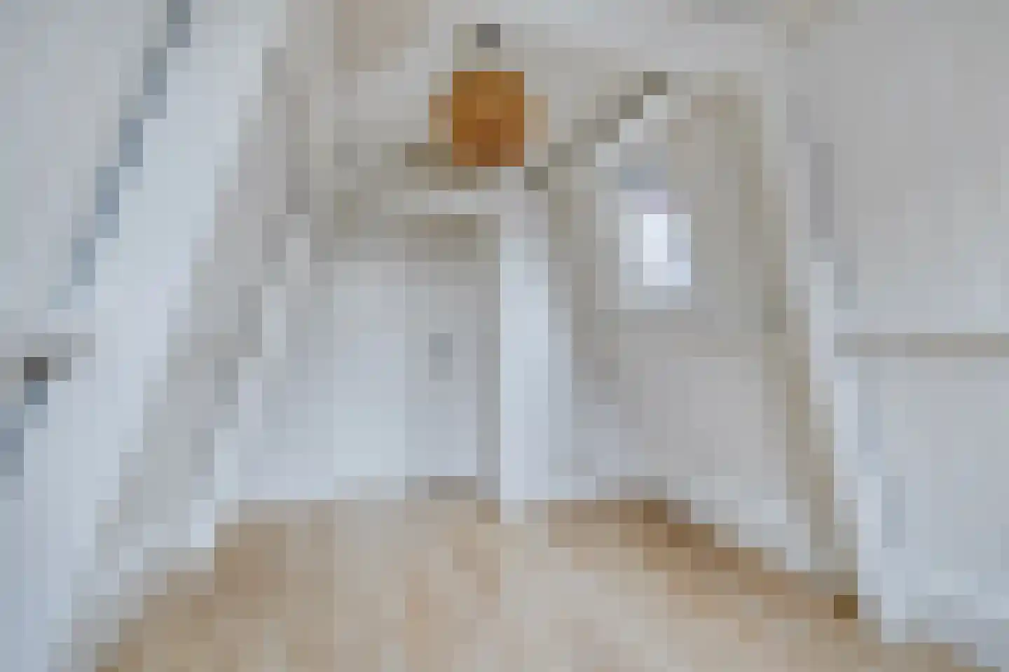Schoutenstraat 34 Alkmaar thumbnail 16