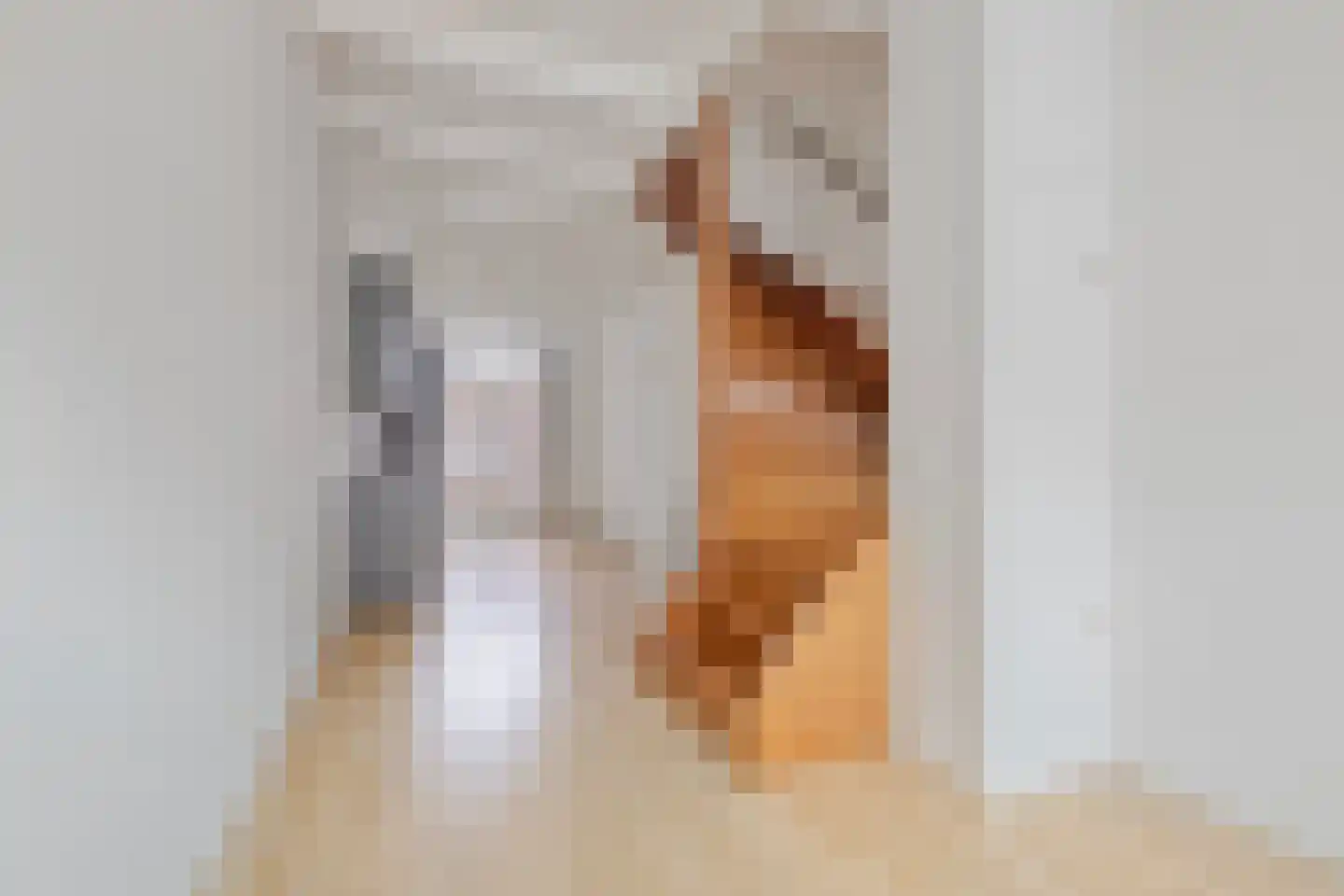 Schoutenstraat 34 Alkmaar thumbnail 7
