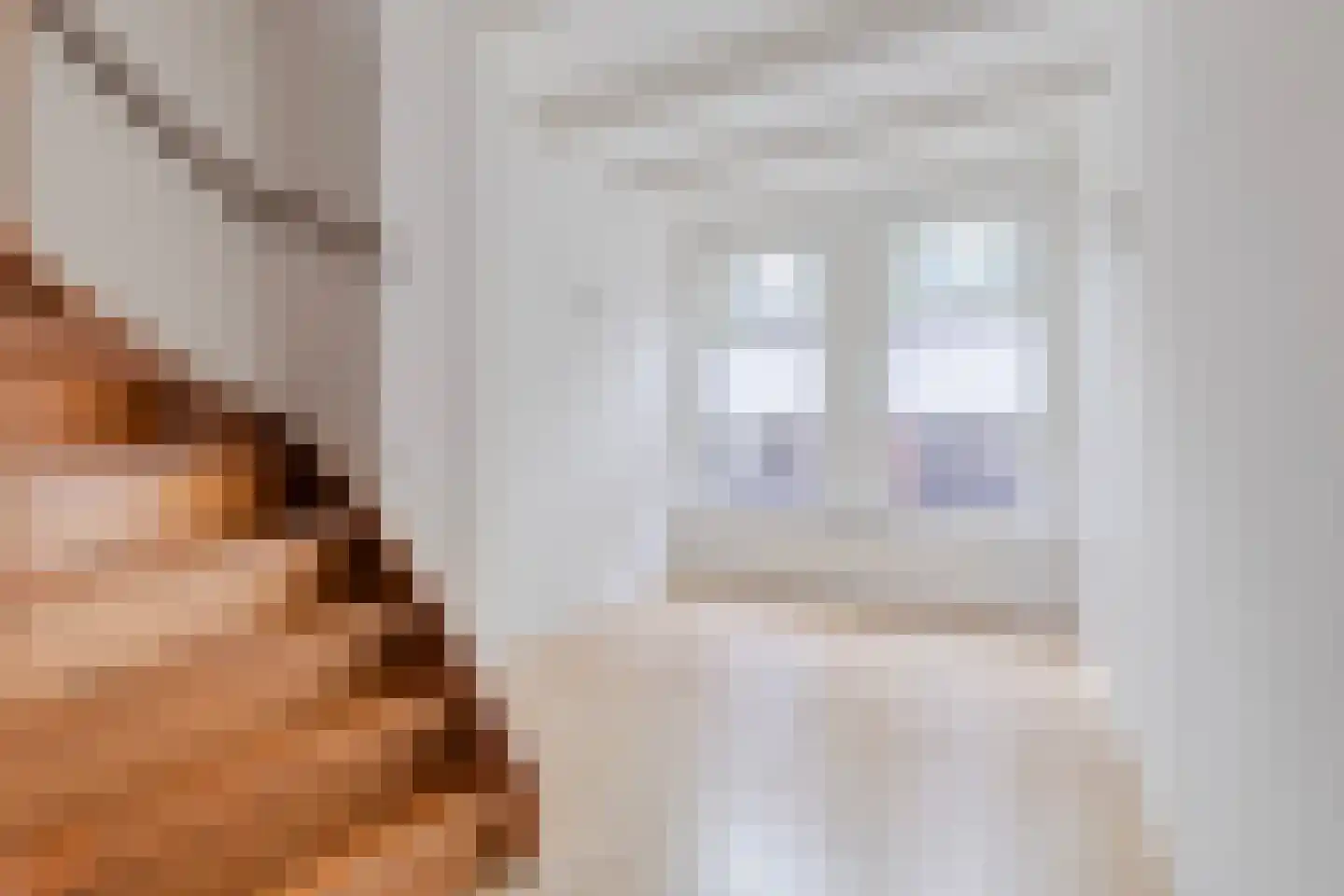 Schoutenstraat 34 Alkmaar thumbnail 8