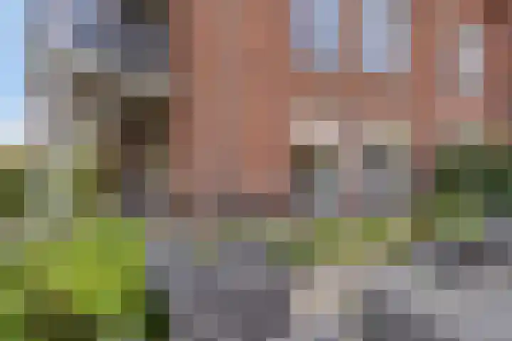 Schoutenstraat 35 14 Barneveld thumbnail 29