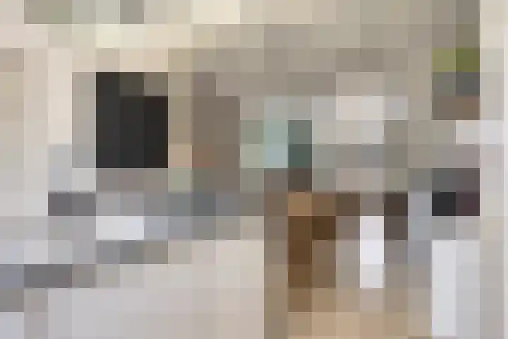 Schoutenstraat 4 Hoorn thumbnail 12