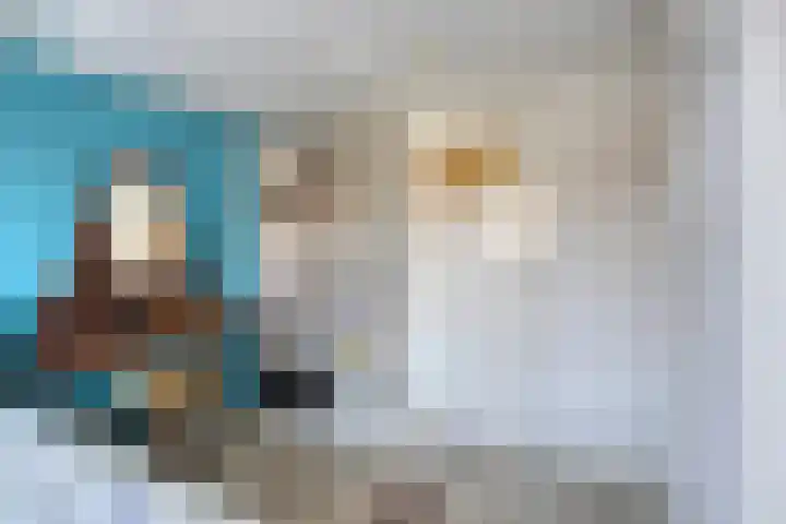 Schoutenstraat 4 Hoorn thumbnail 15