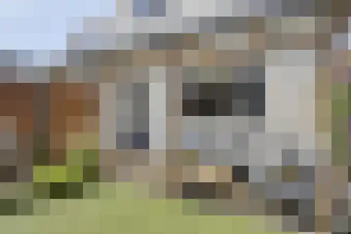 Schoutenstraat 4 Hoorn thumbnail 22