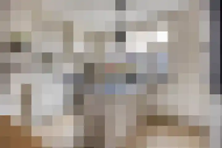 Schoutenstraat 4 Hoorn thumbnail 4