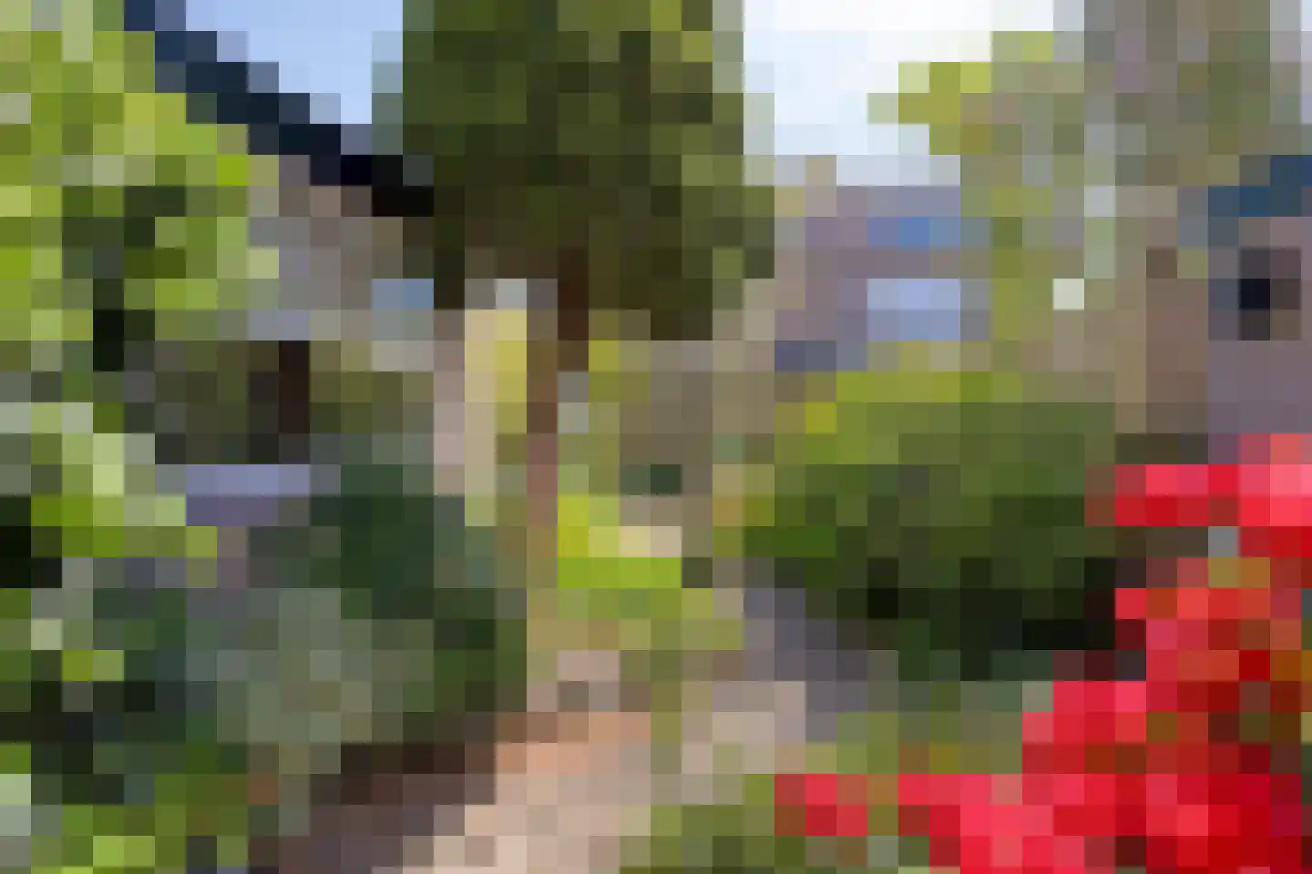 Schoutenstraat 4 Leiderdorp thumbnail 25