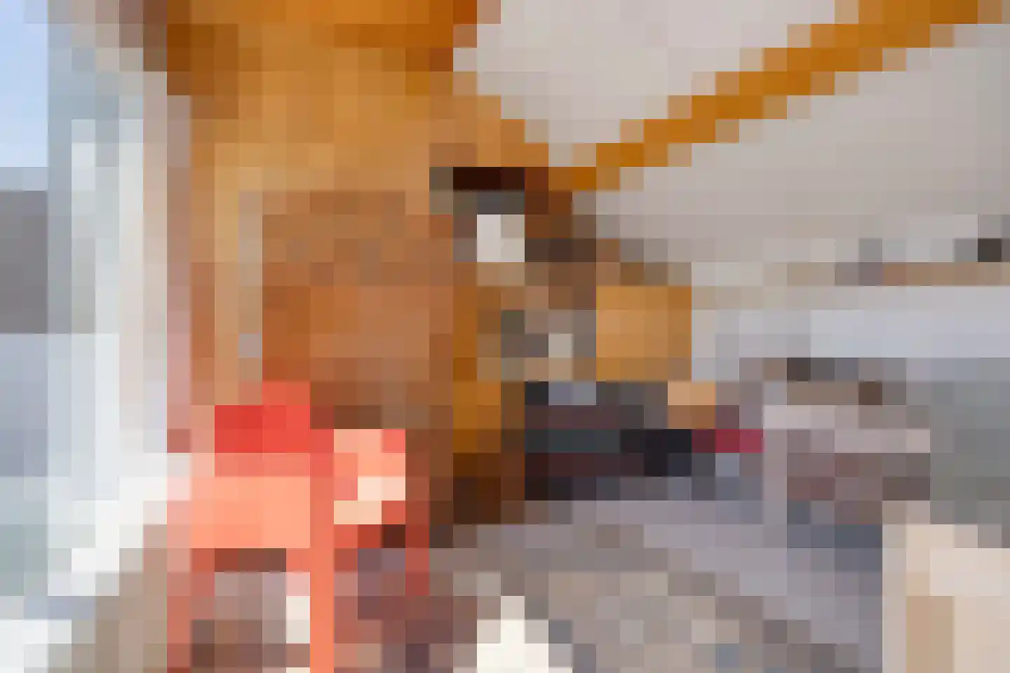 Schoutenstraat 4 Leiderdorp thumbnail 42