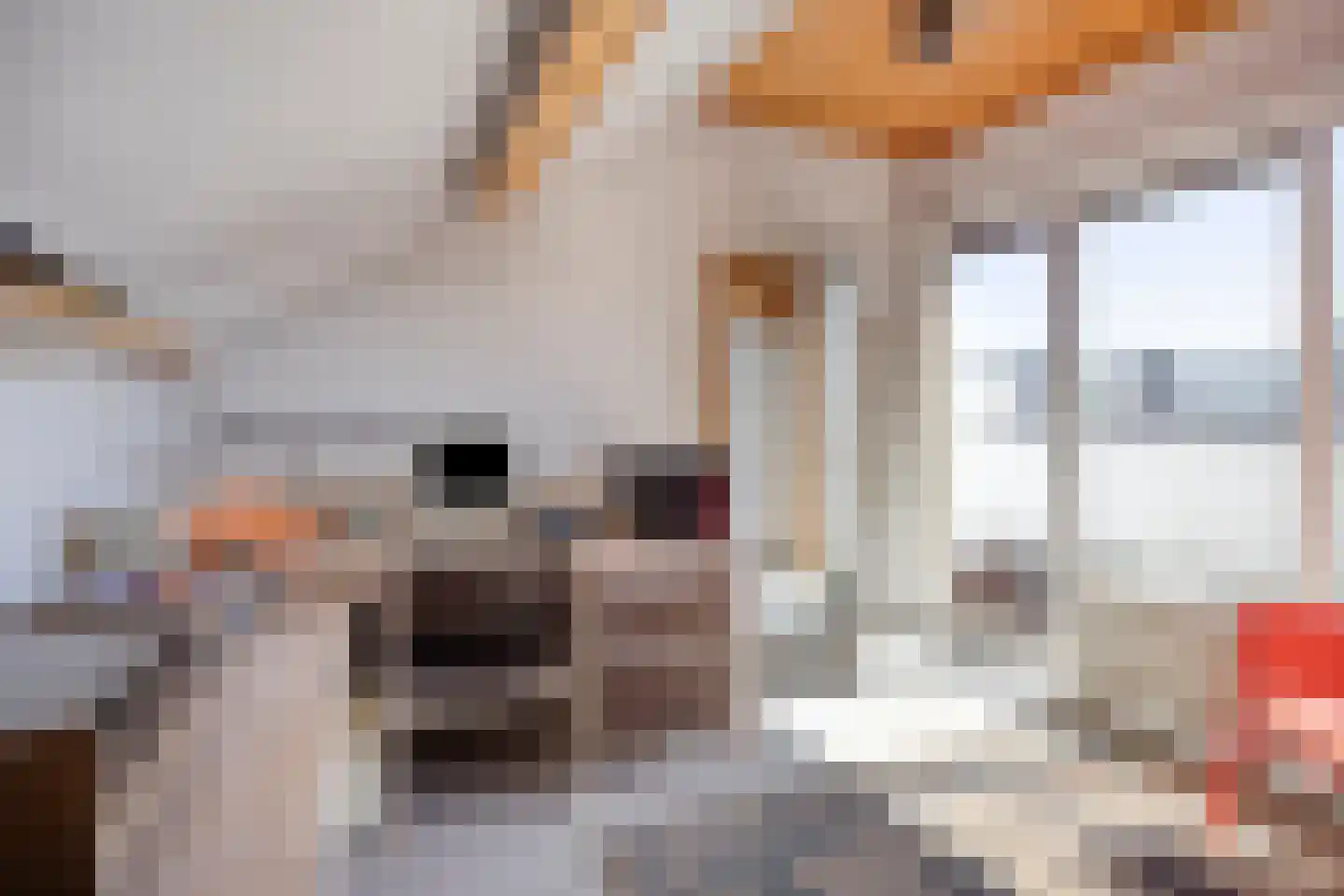 Schoutenstraat 4 Leiderdorp thumbnail 43