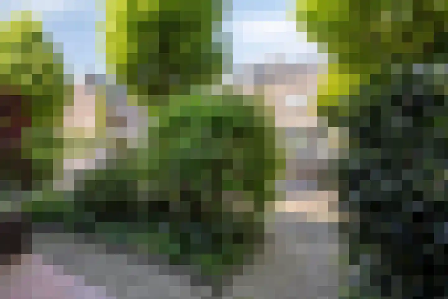 Schoutenstraat 4 Leiderdorp thumbnail 7