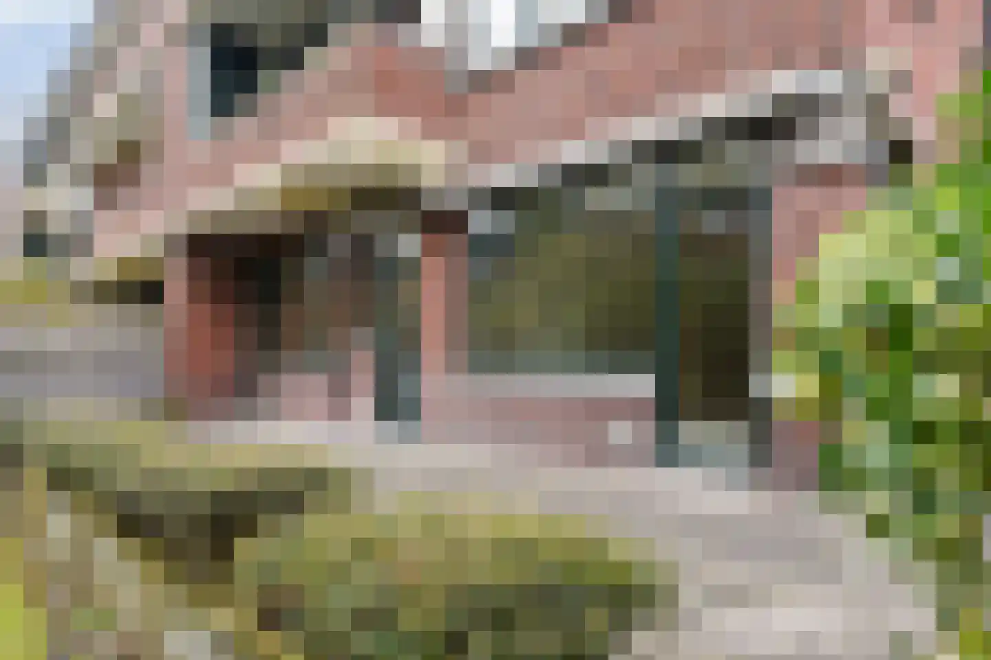 Schoutenstraat 49 Den Haag thumbnail 9