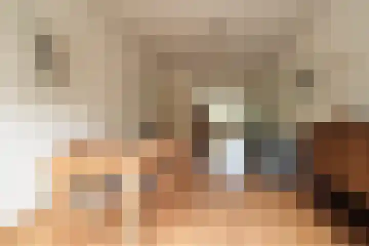 Schoutenstraat 5 Den Haag thumbnail 17